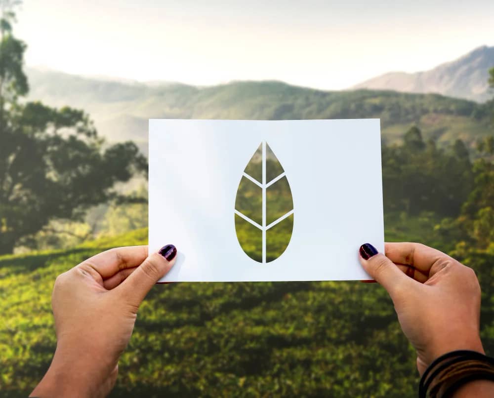 Unlock firma parceria com Carbon Free Brasil para neutralizar impacto ambiental de suas operações